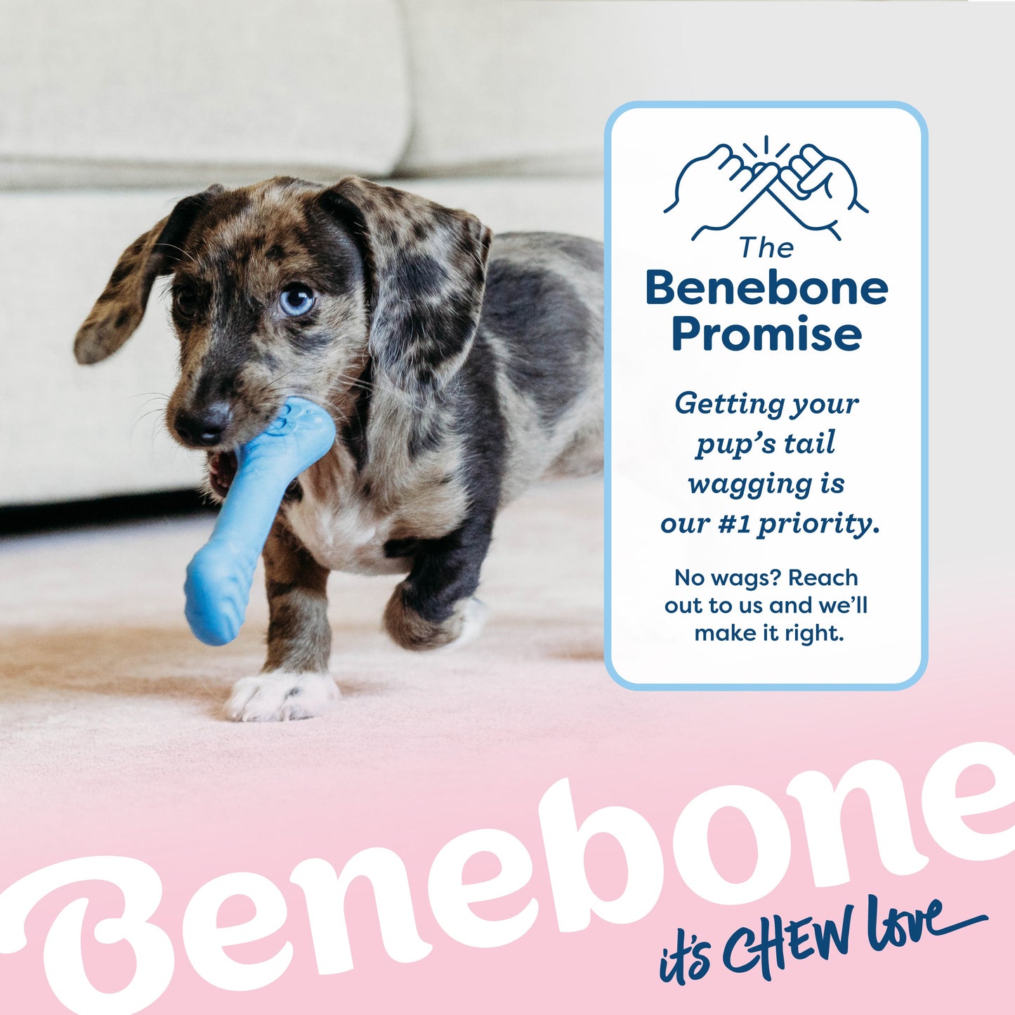 Puppy Bone