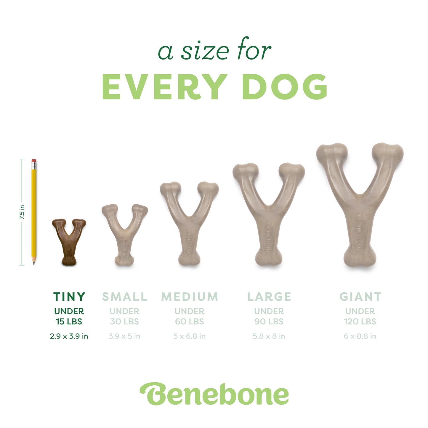 Wishbone