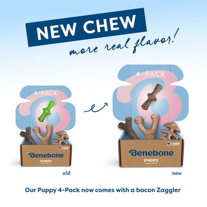 Classic Chew Collection (4-Pack)