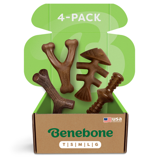 Classic Chew Collection (4-Pack)
