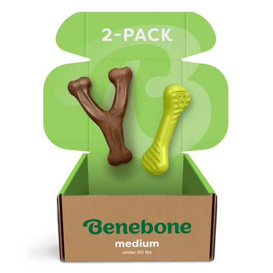 Chew & Chase Duo (2-Pack)