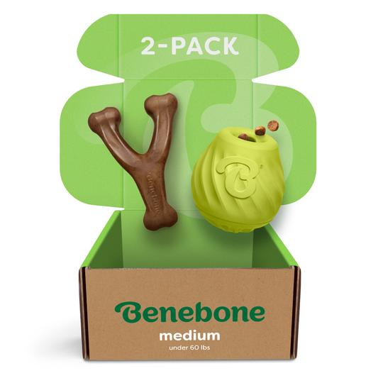 Chew & Challenge Duo (2-Pack)