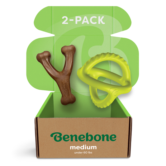 Chew & Tug Duo (2-Pack)