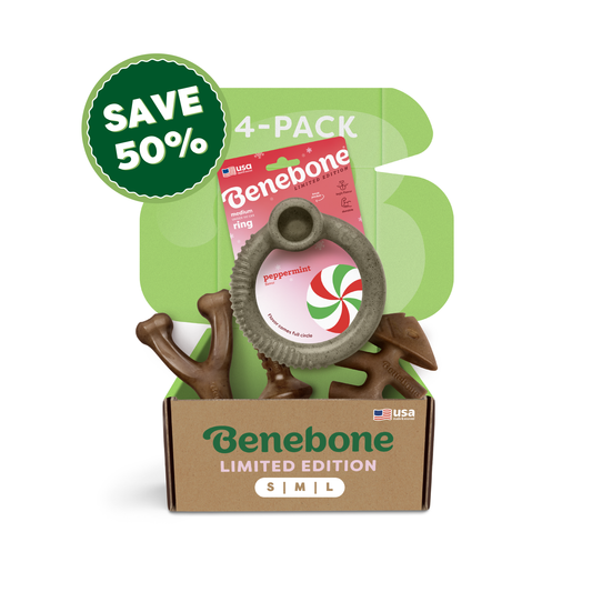 Limited Edition Chew Collection (50% off)
