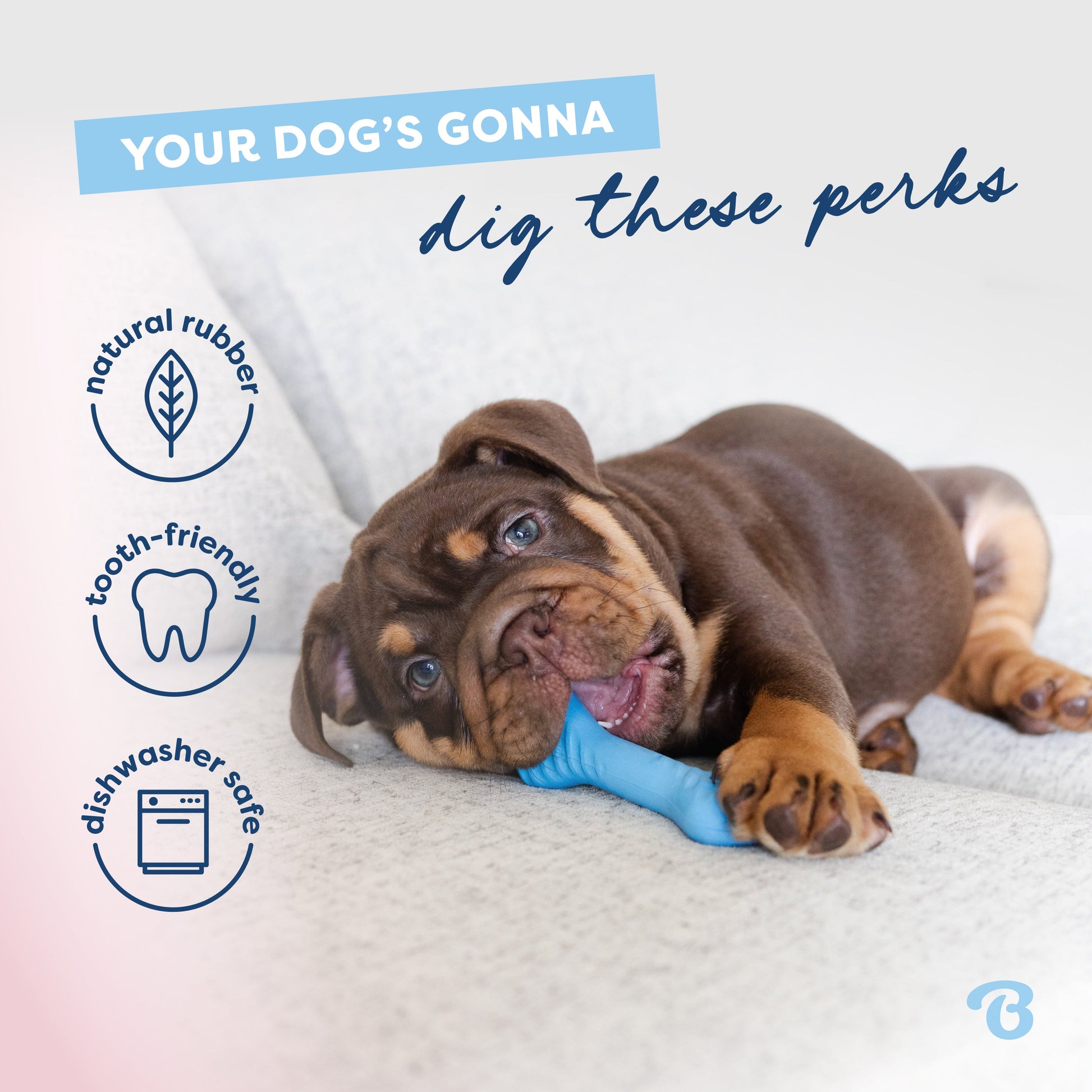 Puppy Bone