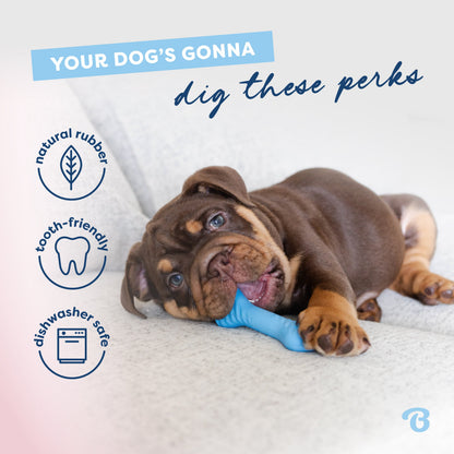 Puppy Bone