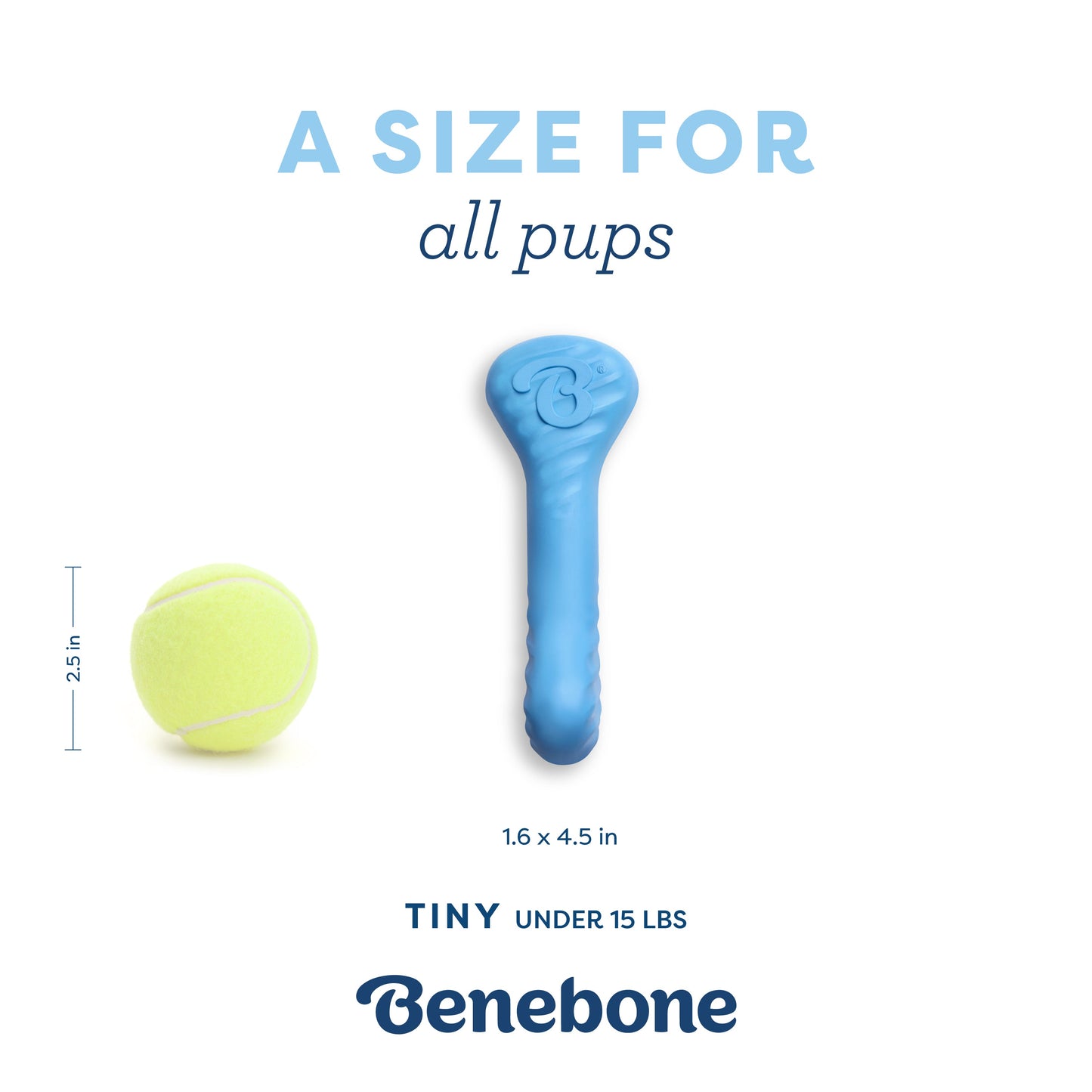 Puppy Bone