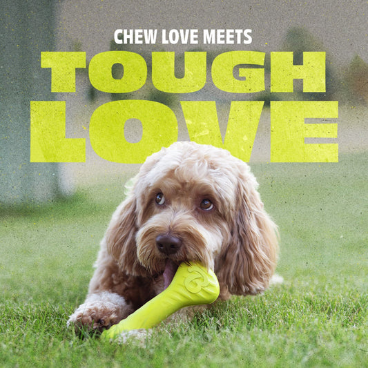 Bone