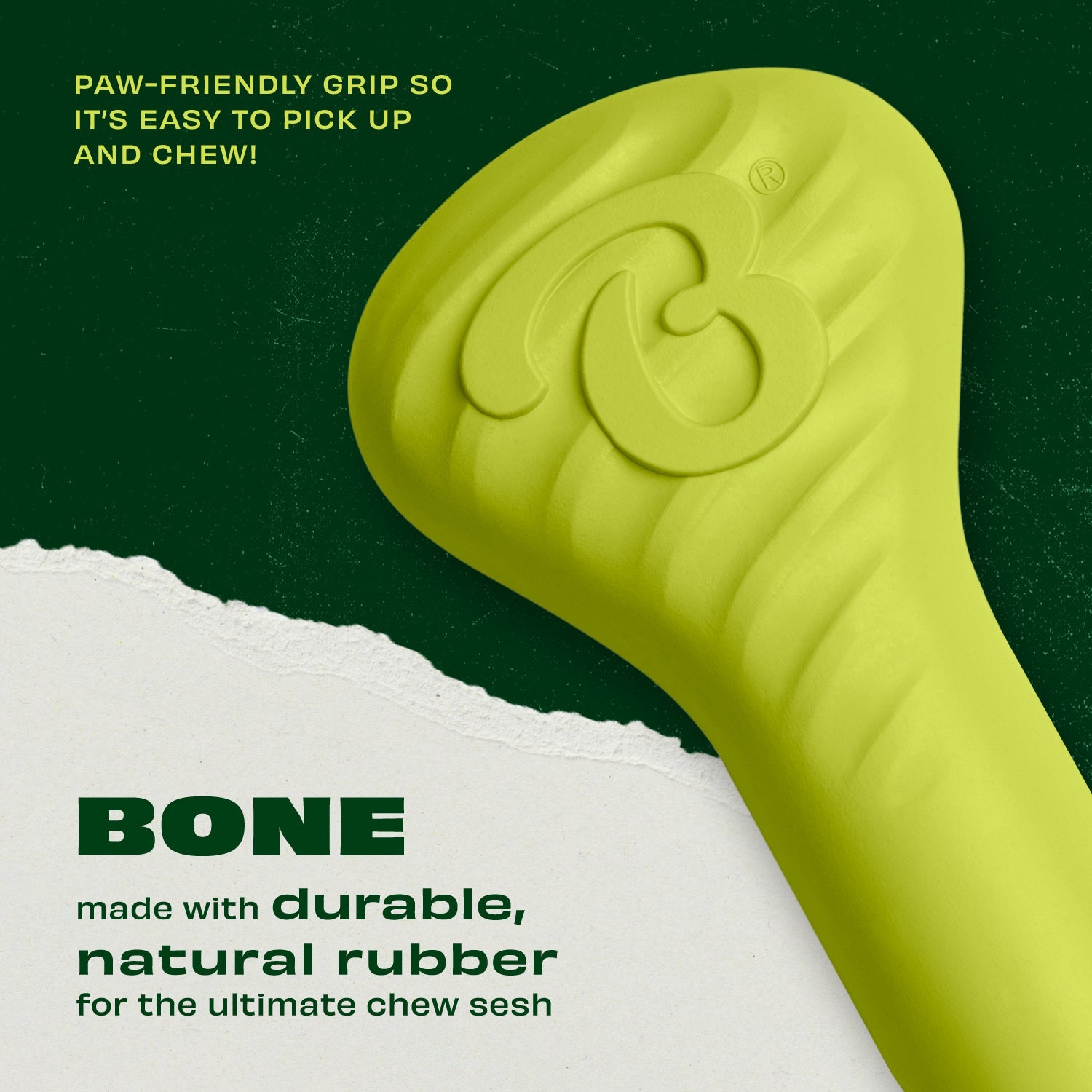 Bone