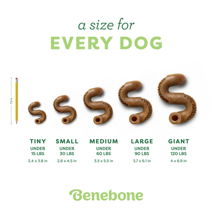 Tripe Bone