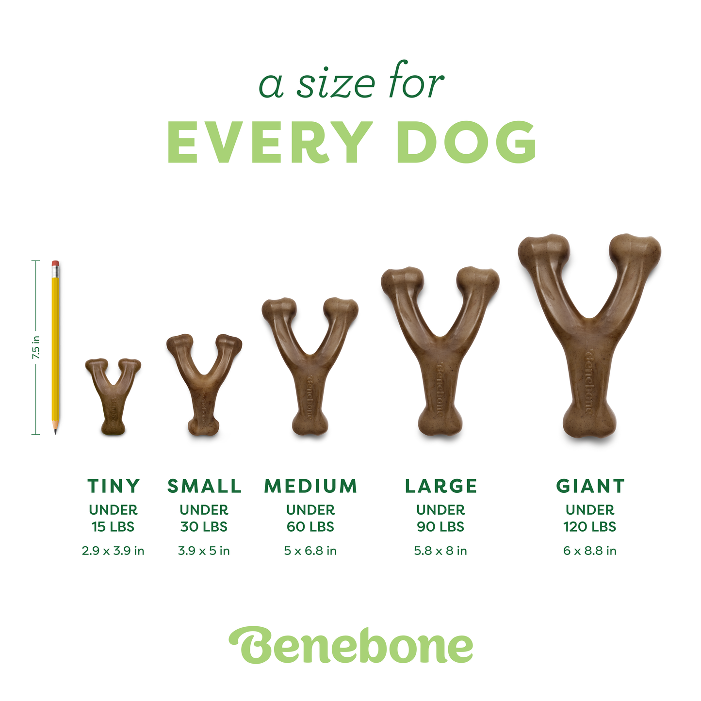 Wishbone