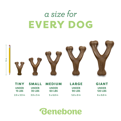 Wishbone