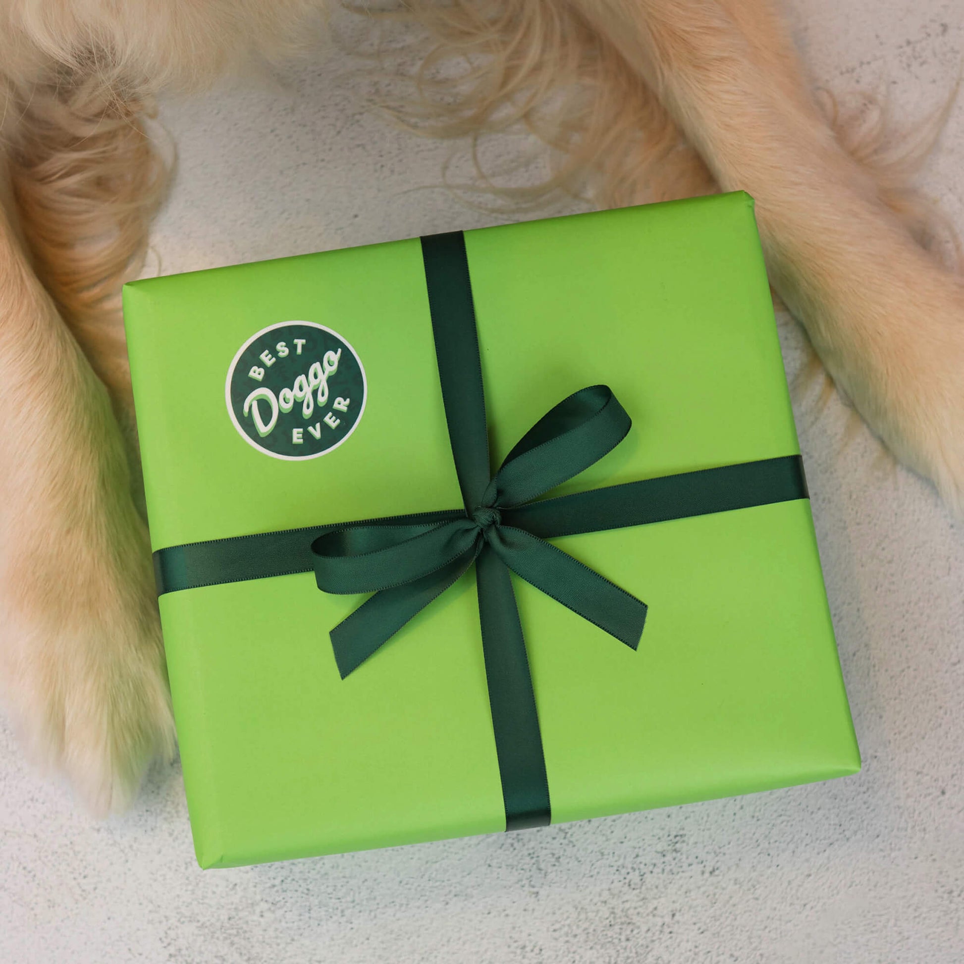 Limited Edition Chew Collection (4-Pack)
