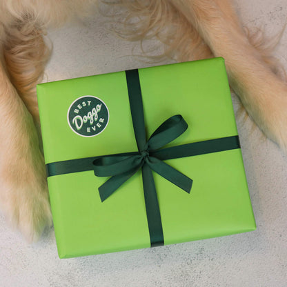 Complete Chew Collection (50% off)