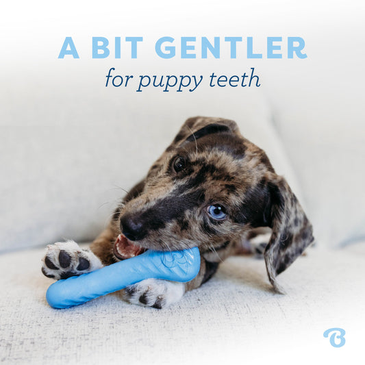 Puppy Bone