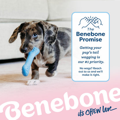 Puppy Bone