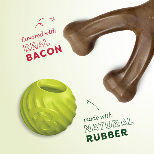 Chew & Fetch Duo (2-Pack)