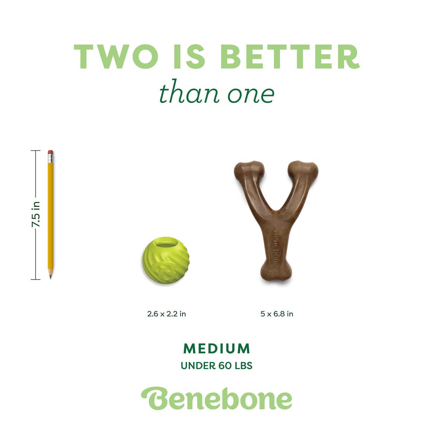 Chew & Fetch Duo (2-Pack)