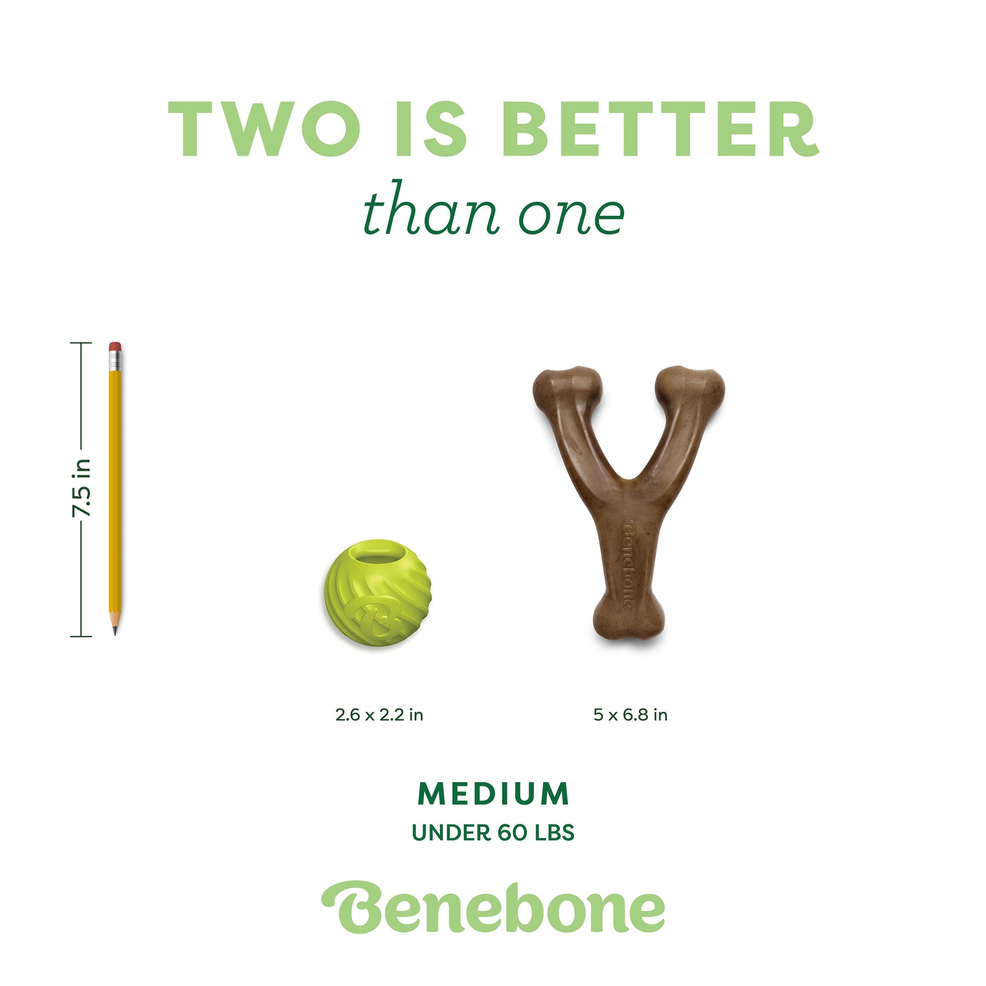 Chew & Fetch Duo (2-Pack)