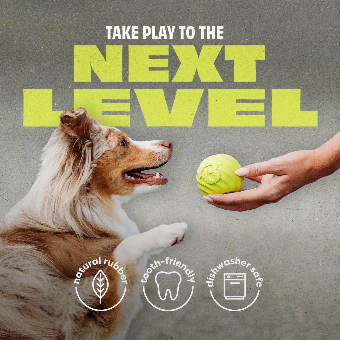 Chew & Fetch Duo (2-Pack)