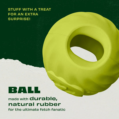 Chew & Fetch Duo (2-Pack)