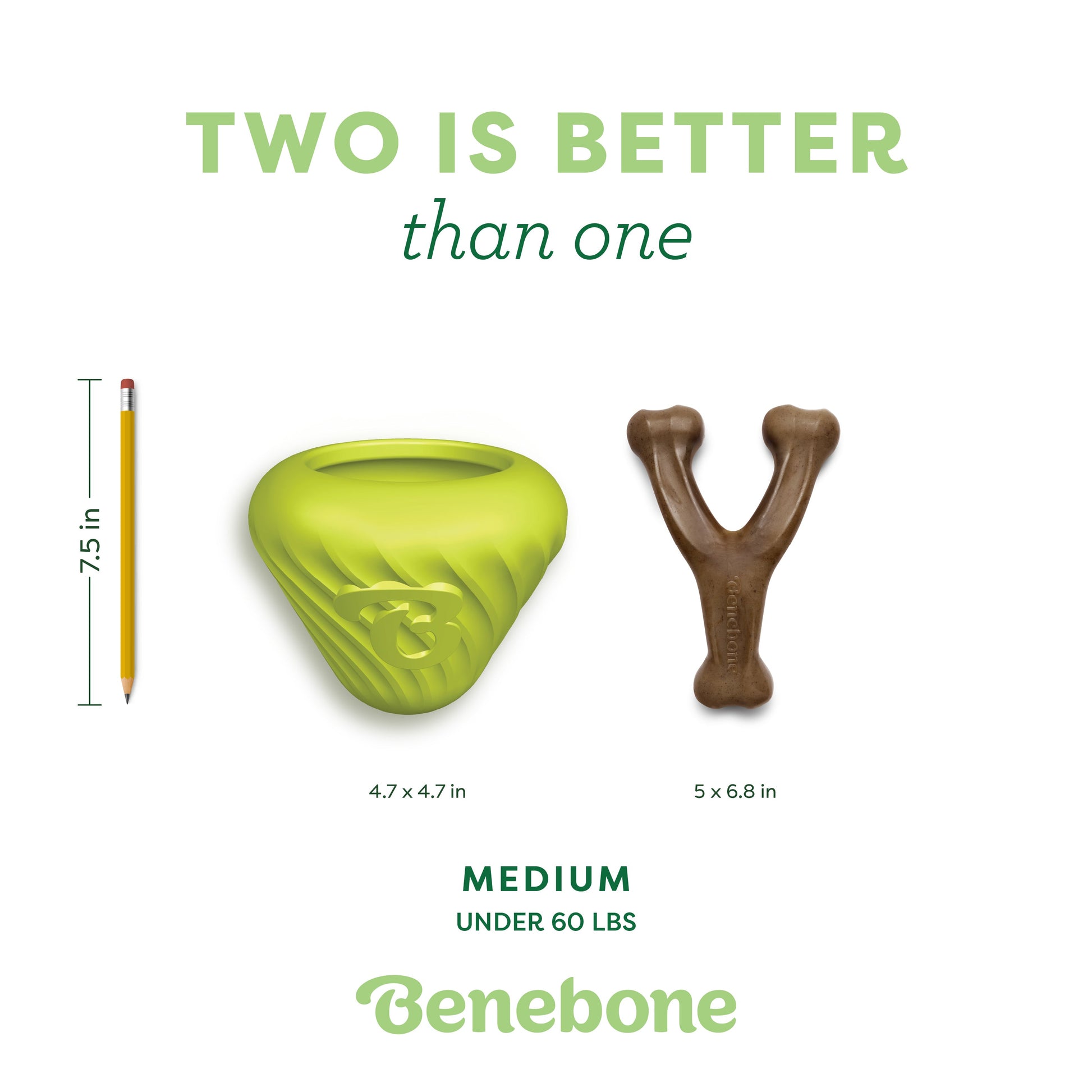Chew & Treat Duo (2-Pack)