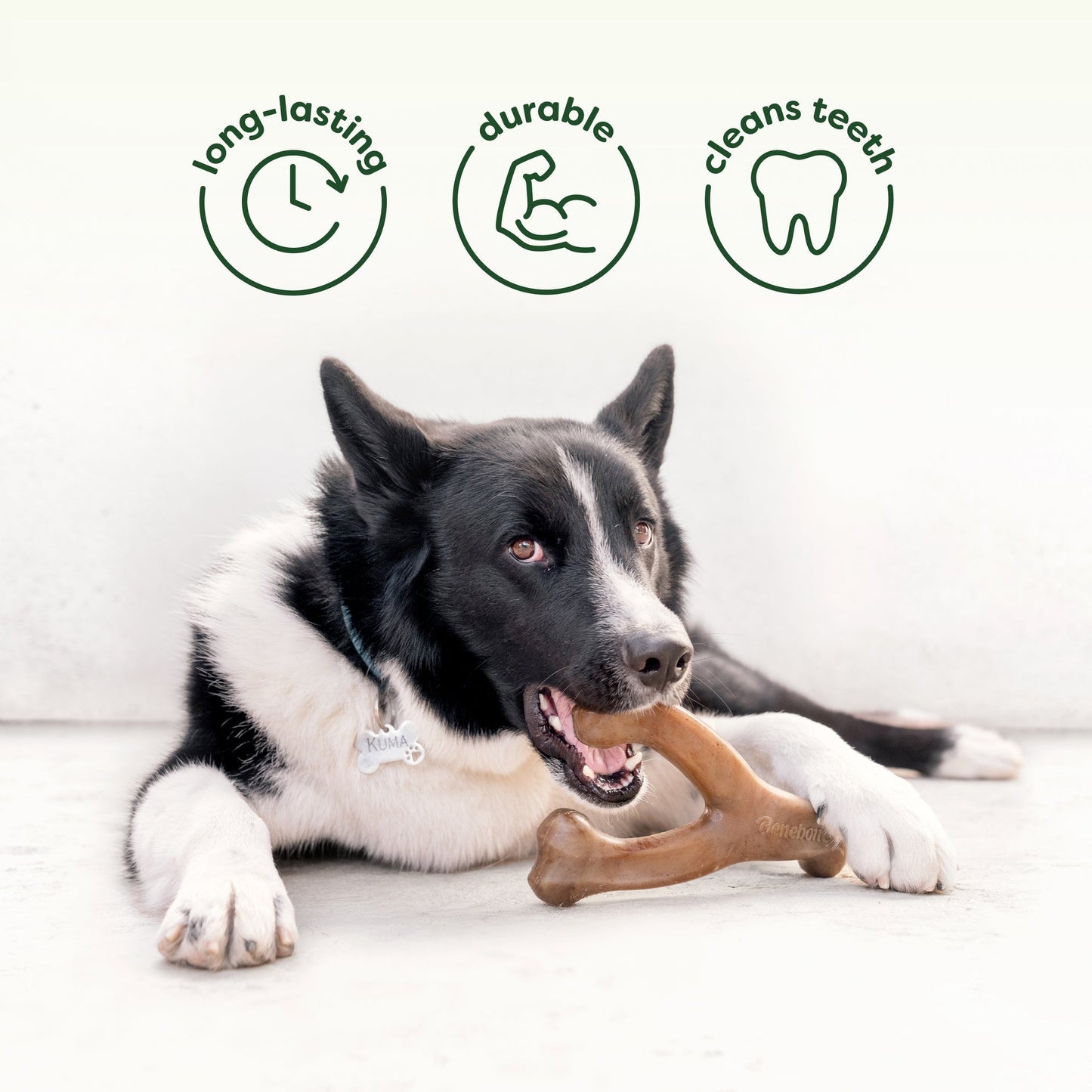 Chew & Treat Duo (2-Pack)
