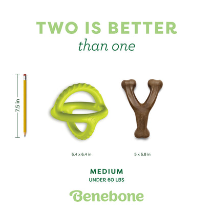 Chew & Tug Duo (2-Pack)