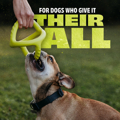 Chew & Tug Duo (2-Pack)