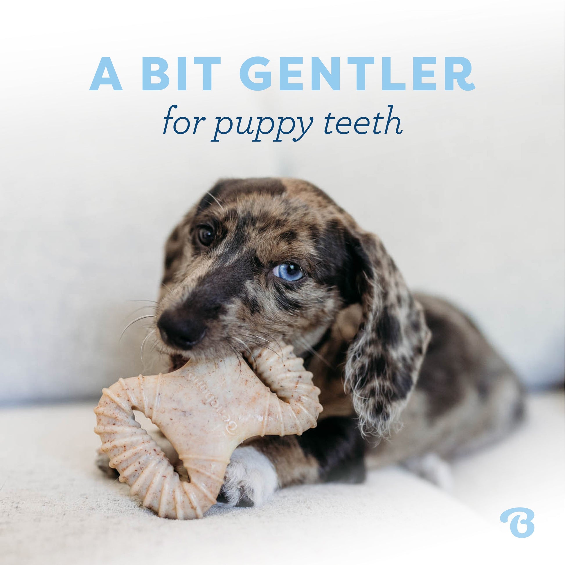 Puppy Dental Chew