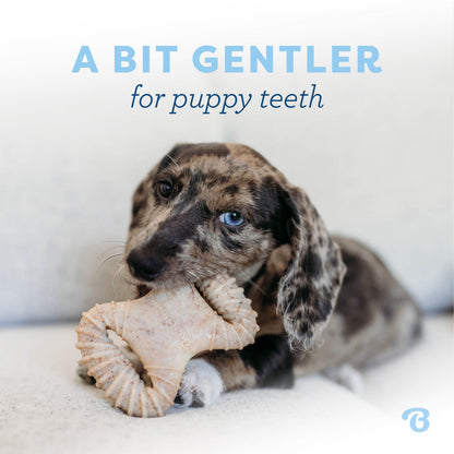 Puppy Dental Chew