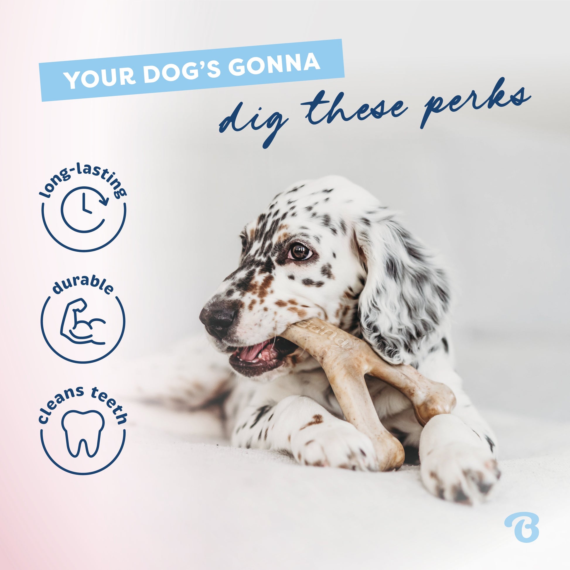 Puppy Dental Chew