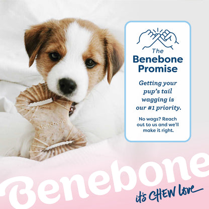 Puppy Dental Chew