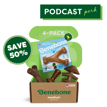 Limited Edition Chew Collection (50% off)