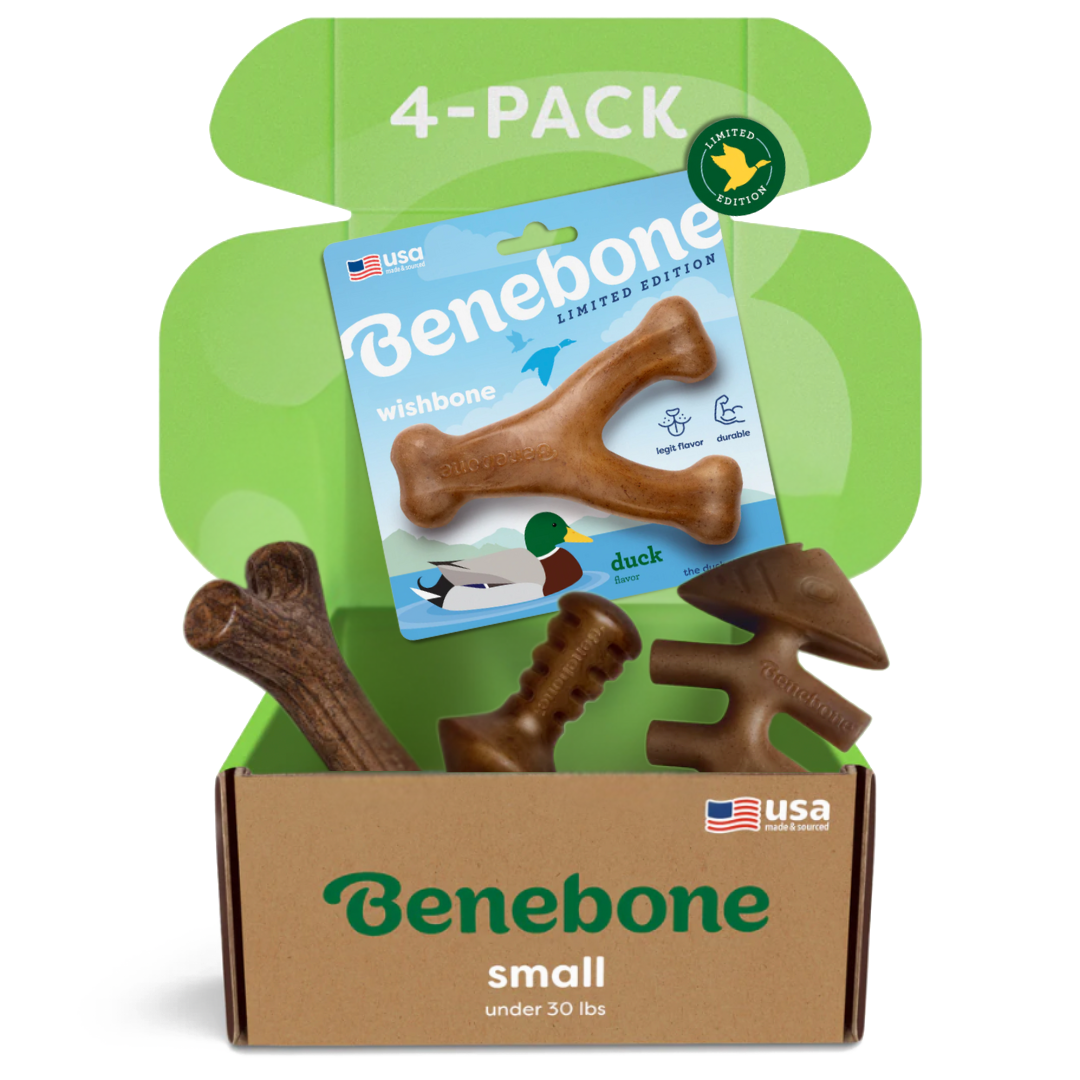 Limited Edition Chew Collection (50% off)