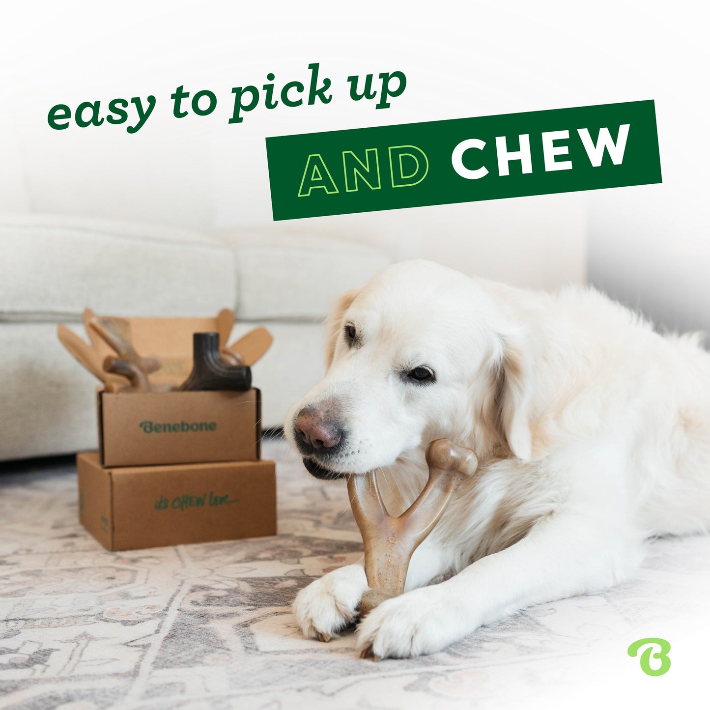 Limited Edition Chew Collection (4-Pack)