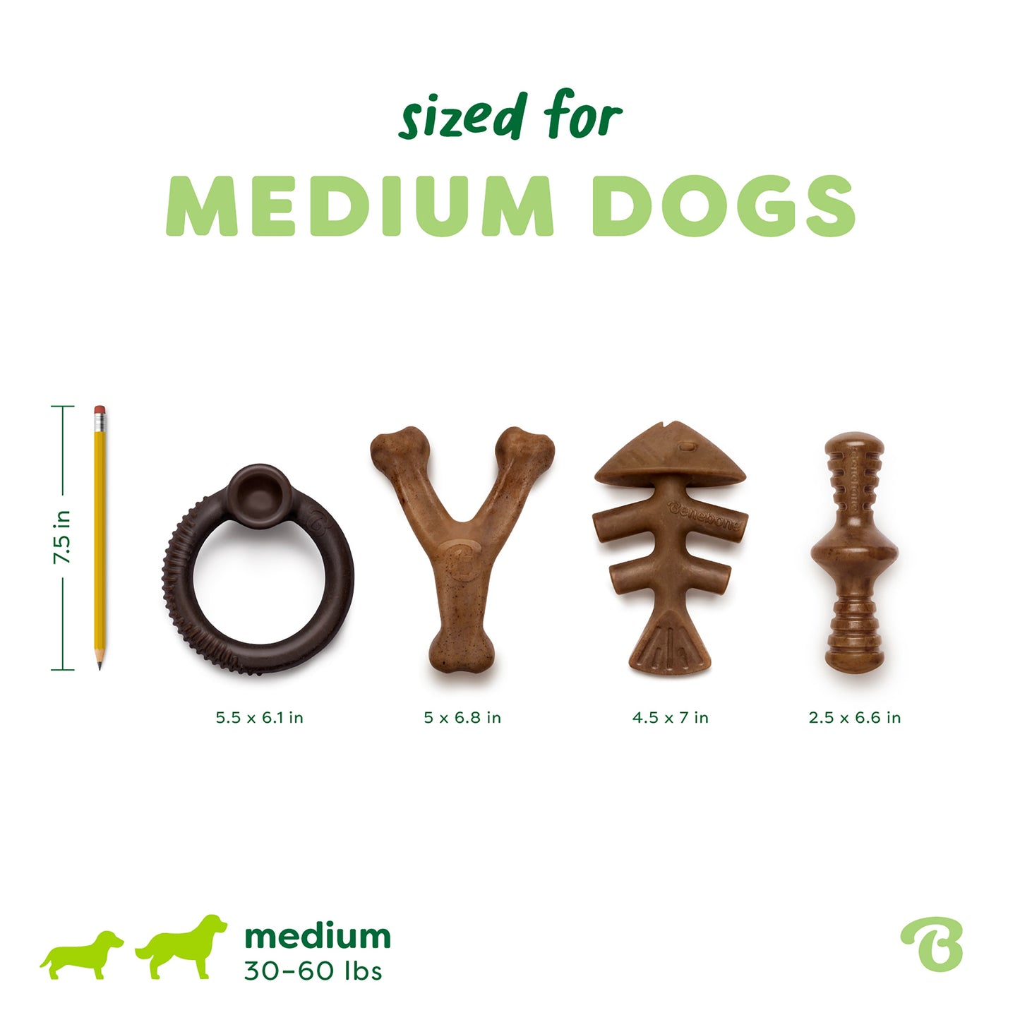Limited Edition Chew Collection (4-Pack)