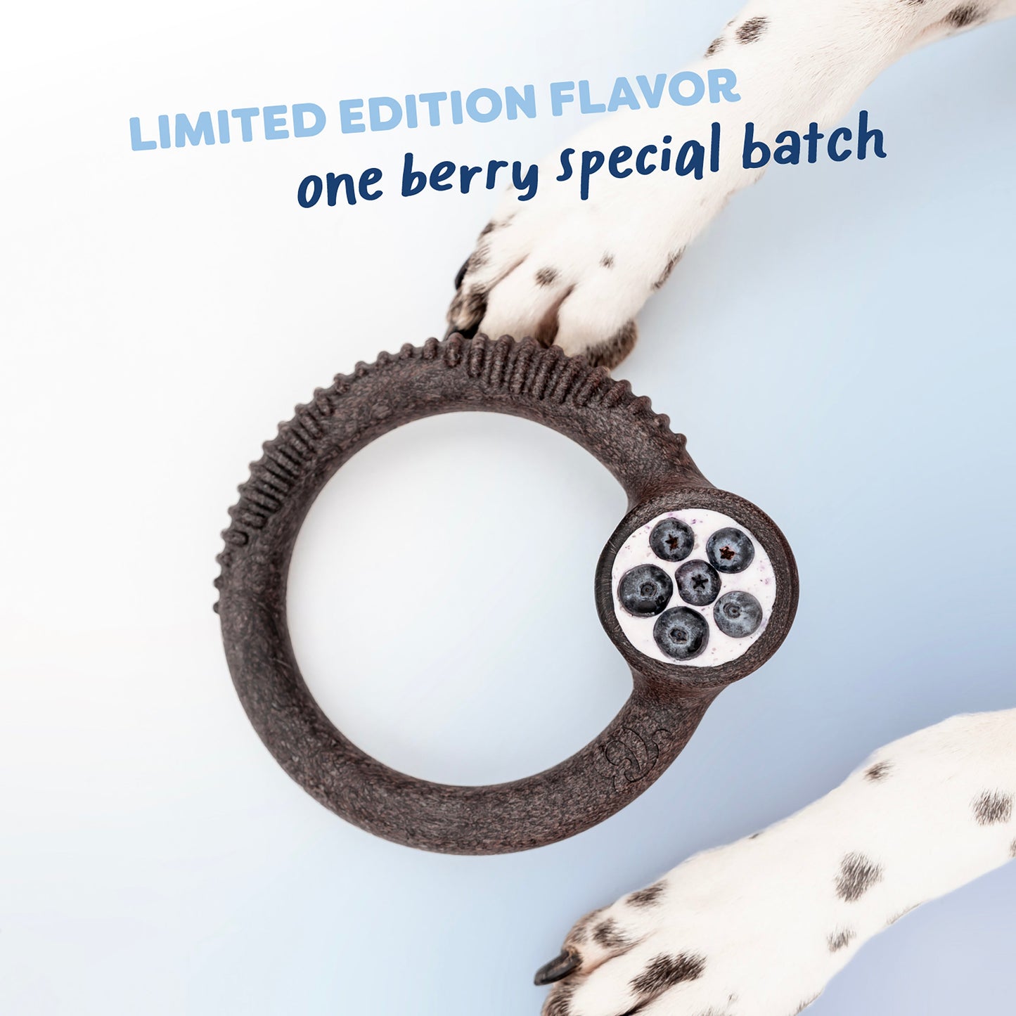 Limited Edition Chew Collection (4-Pack)