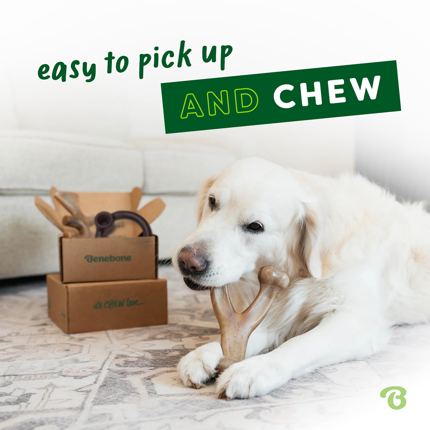Limited Edition Chew Collection (4-Pack)