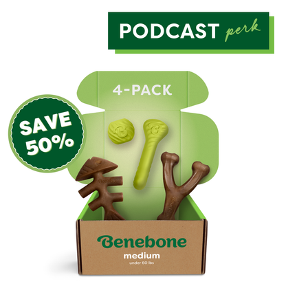 Chew & Chase Collection (50% off)