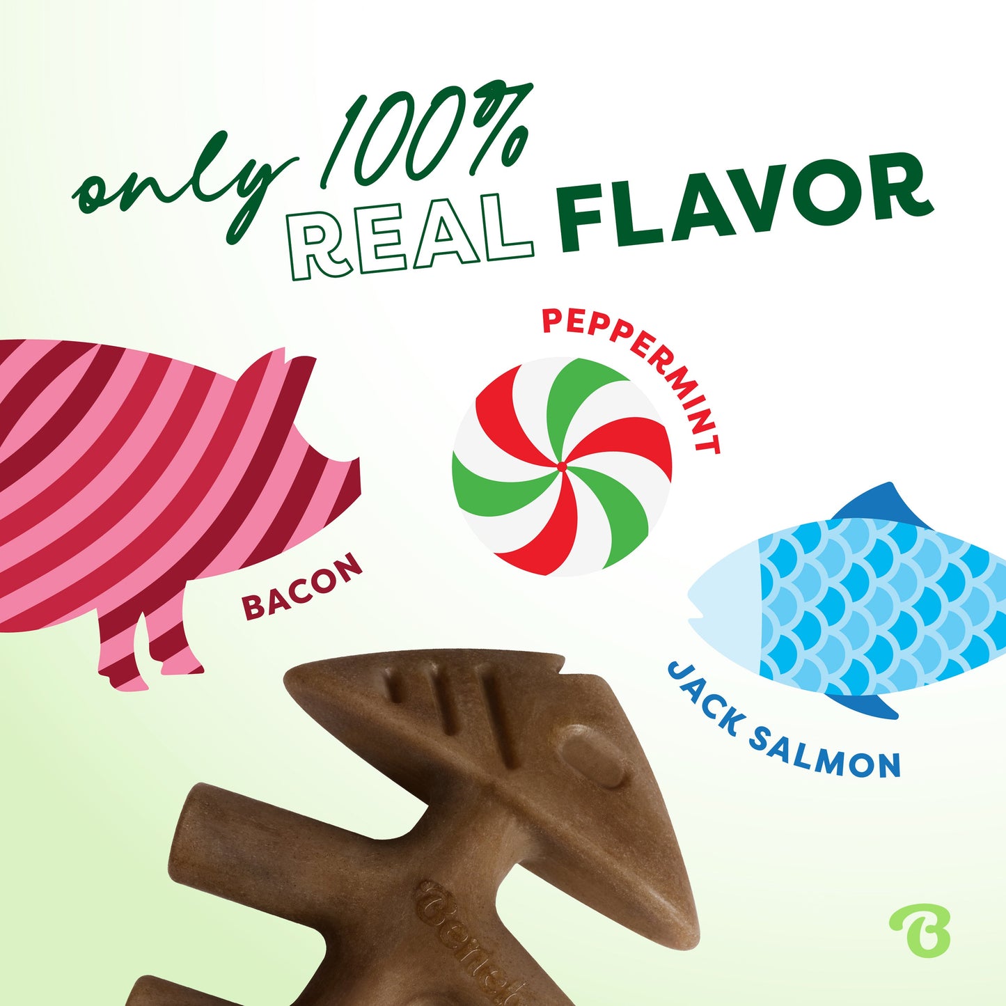 Limited Edition Chew Collection (50% off)