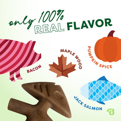 Limited Edition Chew Collection (4-Pack)