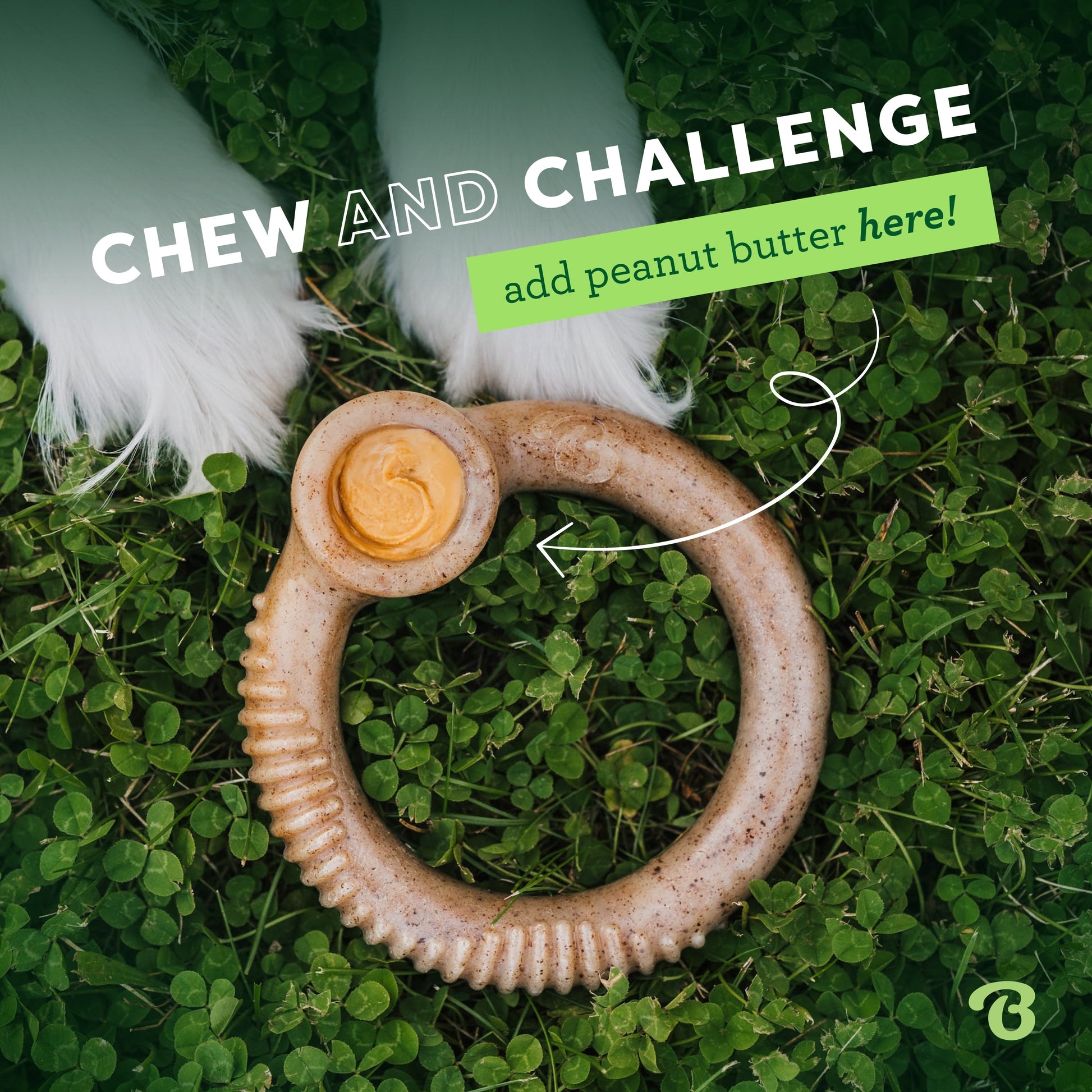 Complete Chew Collection (50% off)