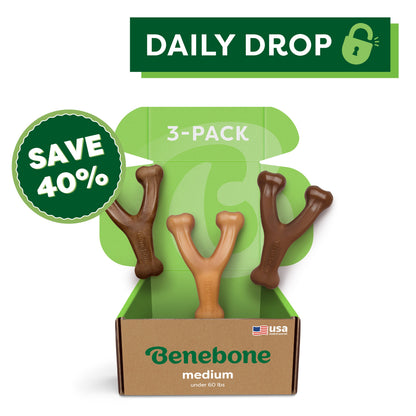 Wishbone Trio (3-Pack)