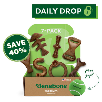 Complete Chew Collection (7-Pack)