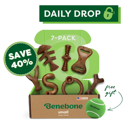 Complete Chew Collection (7-Pack)