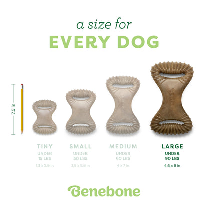 Dental Chew