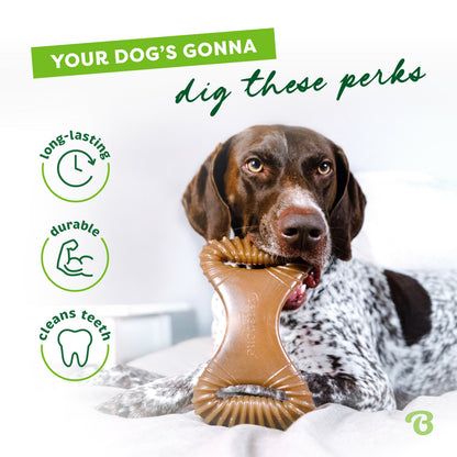 Dental Chew