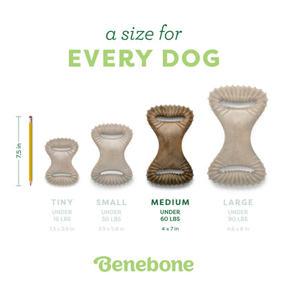 Dental Chew