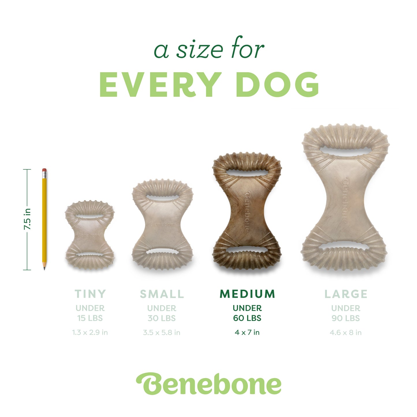 Dental Chew